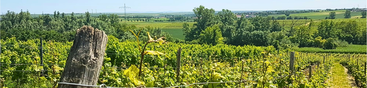 Design ohne Titel(1)